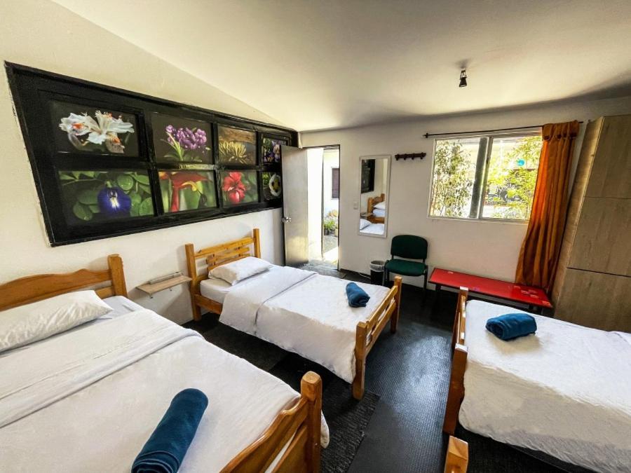 El Yarumo Hostel โบโกตา ภายนอก รูปภาพ